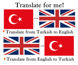 Turkish Translation Services! One of the best professional turkish translators available now!